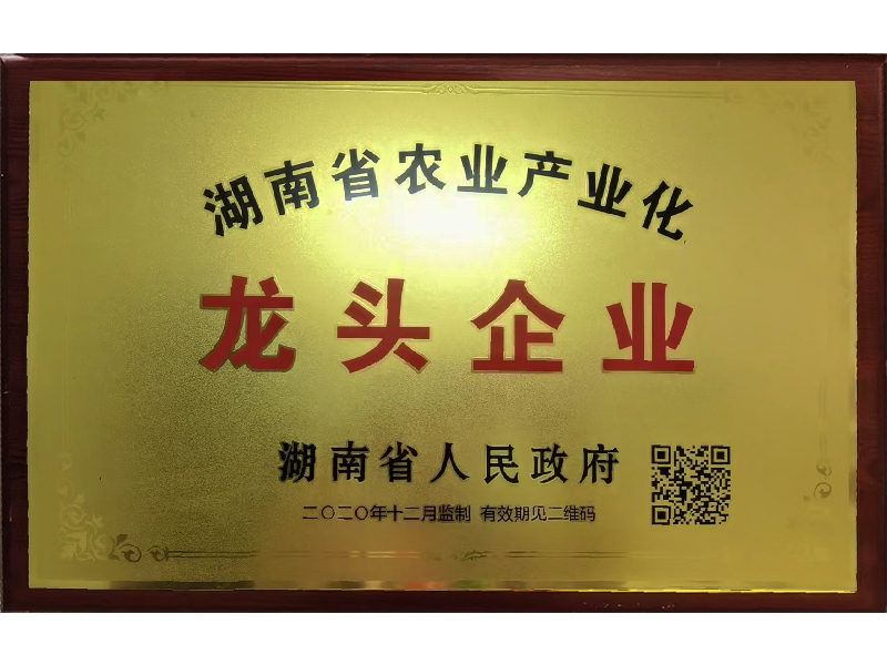 岳陽市漁之源食品有限公司,岳港漁都,洞庭魚港,散稱系列,田螺系列,臭豆腐加工，香豆腐加工，烤脖加工，魚仔,鴨排加工、雞丁加工代加工